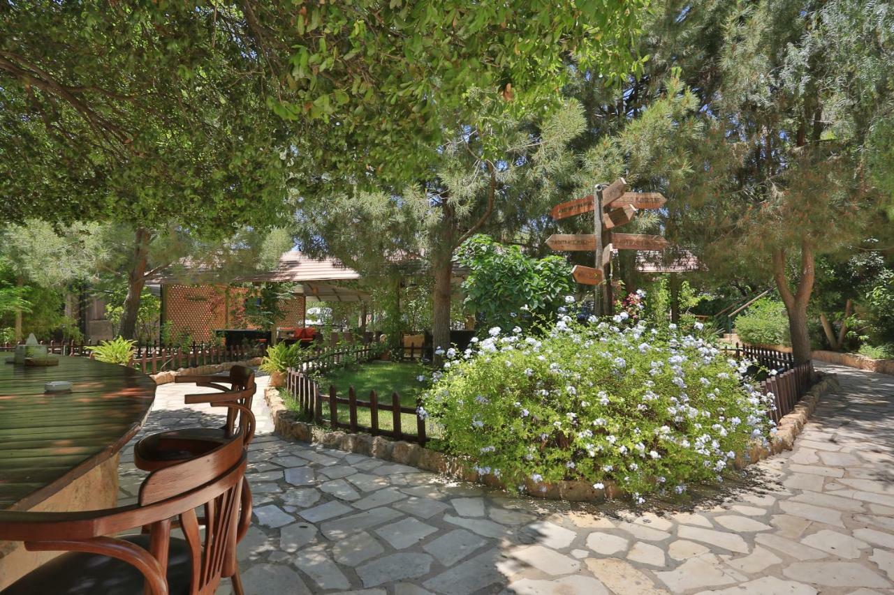 Mountain Breeze Lodge & Resort 알 살트 외부 사진